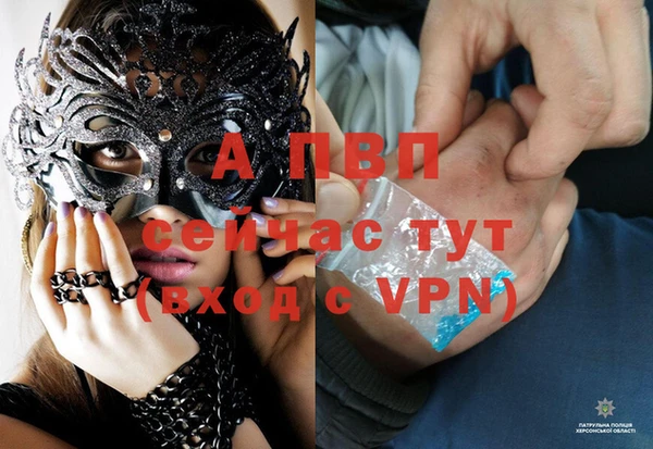 прущие крисы Волосово