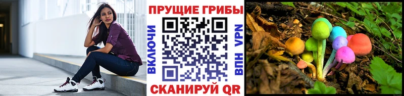 Псилоцибиновые грибы Psilocybine cubensis  Купить закладки  Верхняя Салда 